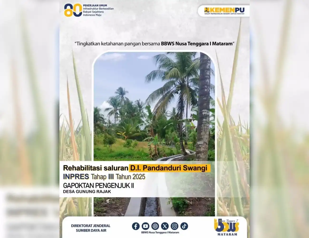 Penguatan Infrastruktur Irigasi untuk Mendukung Swasembada Pangan Nasional