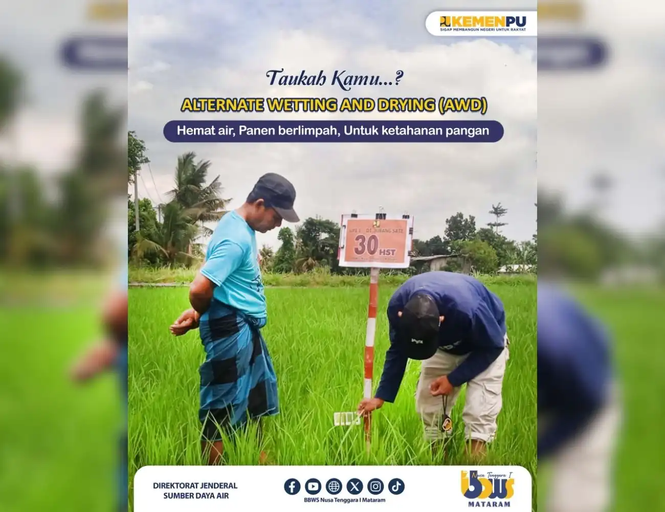 Alternate Wetting and Drying (AWD) Hemat air, Panen Berlimpah, Untuk ketahanan pangan