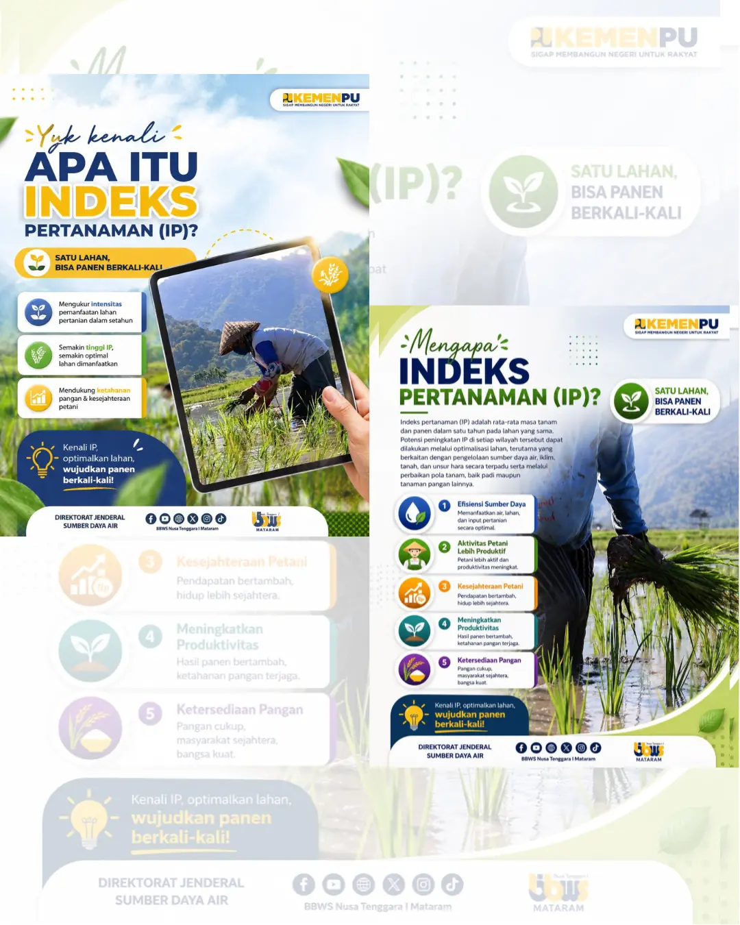 Indeks Pertanaman (IP), Kunci Produktivitas Pertanian!